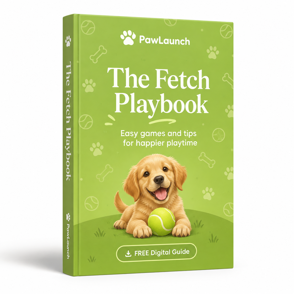 Fetch Guide