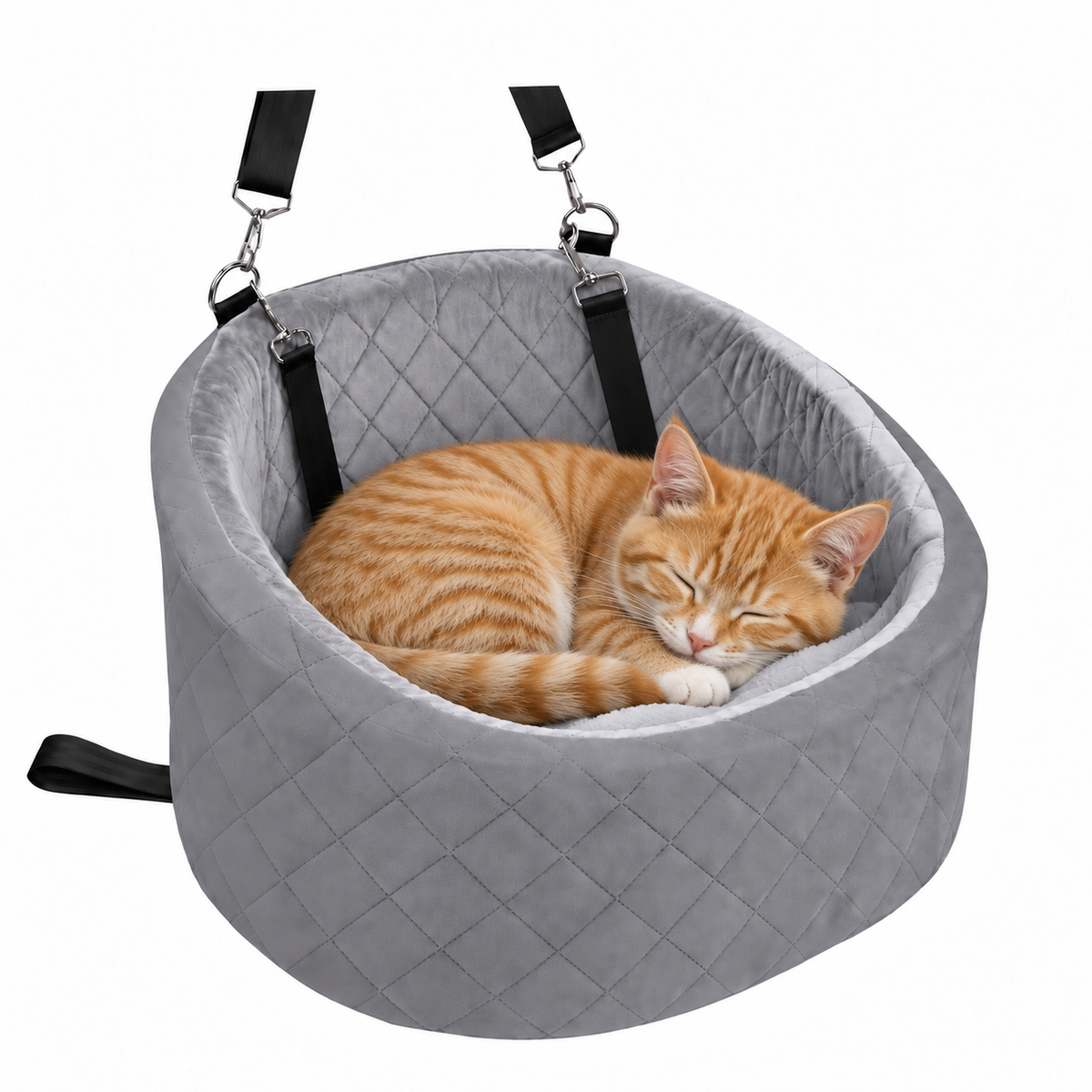 Machine Washable Cat Car