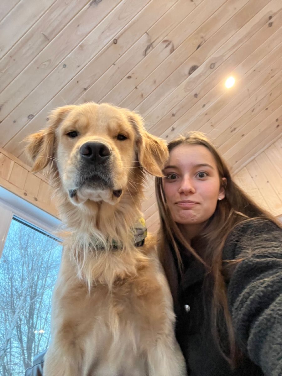 files/golden-retriever-puppy-in-winter-teen-golden-retri-full-size.jpg